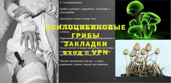 ПСИЛОЦИБИНОВЫЕ ГРИБЫ Россошь