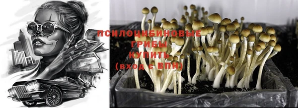мяу мяу мука Армянск